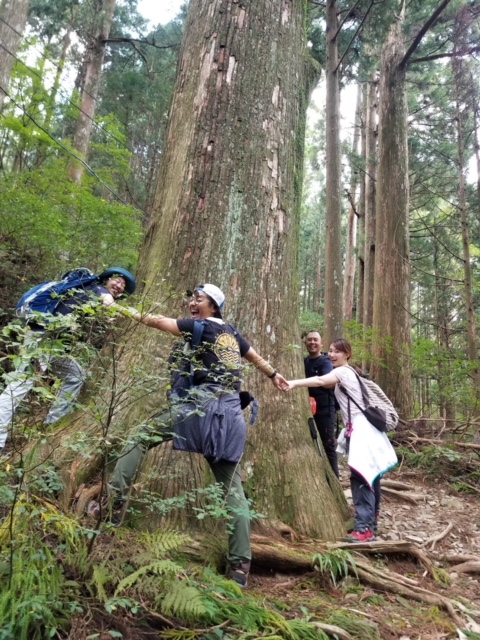 ③山岳部〜秋葉山への写真