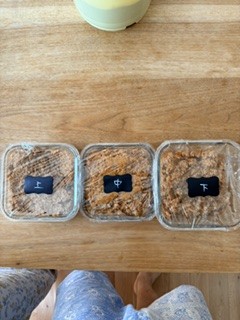 手作り味噌づくり(完成版)の写真